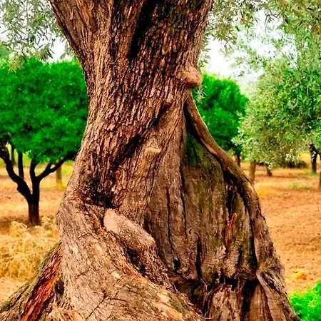 Agriturismo Agriclub Le Giare