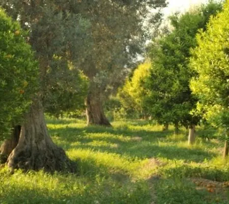 Agriturismo Agriclub Le Giare